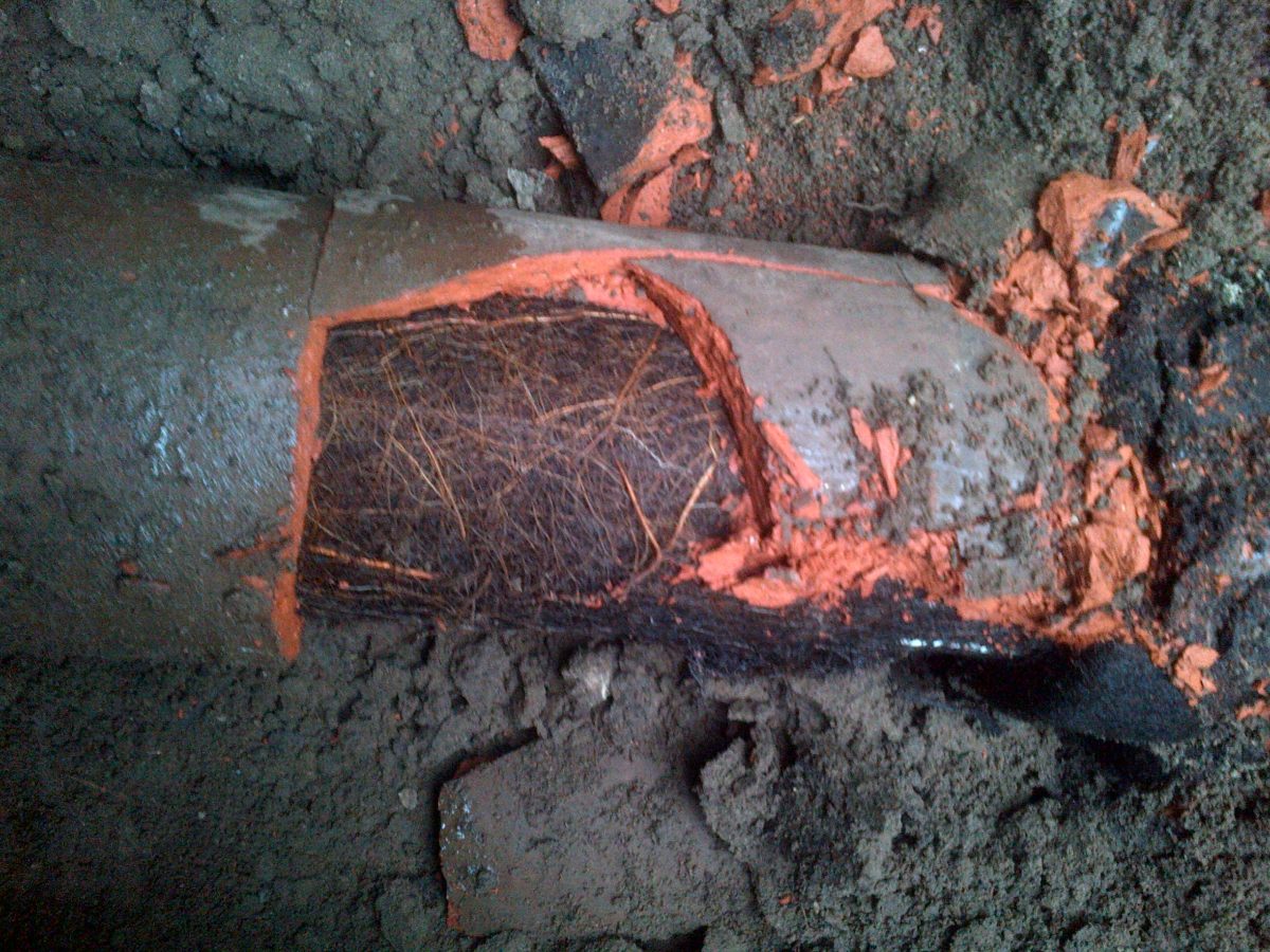 roots in clay pipe - sewer line replacement