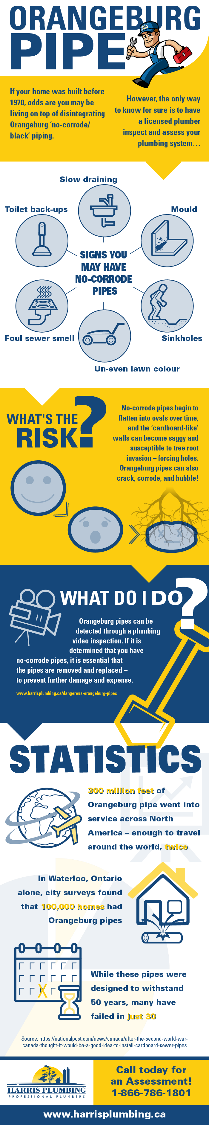 Orangeburg-Infographic